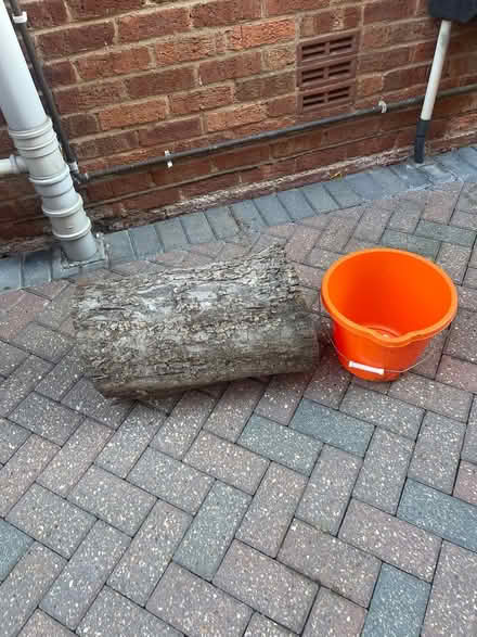 Photo of free Apple tree stump (Cheltenham) #2