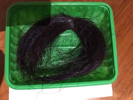 Photo of free Horse hair for crafting (Penarth CF64) #1