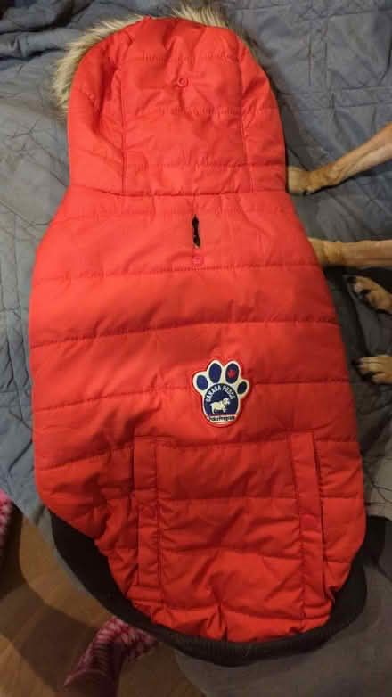 Photo of free Canada Pooch dog jacket size 18 (60 wasdale Cres.) #1