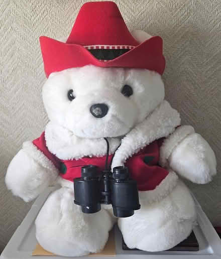 Photo of free 1995 Santa Bear (Farmington Hills) #1