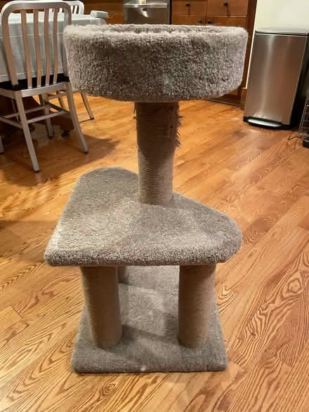 Photo of free Cat Tower (Near 11 and Woodward) #3