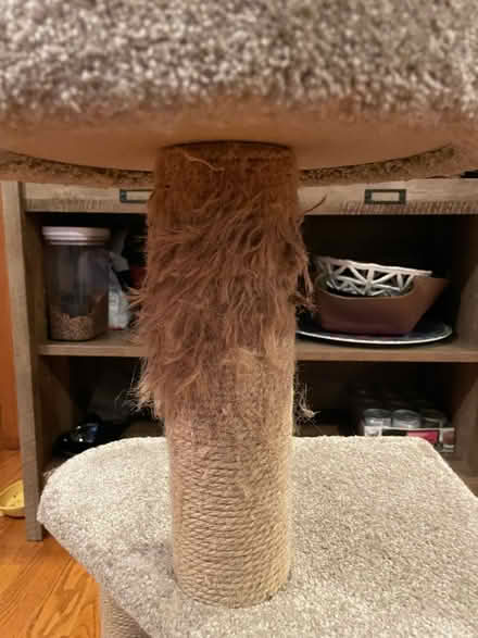 Photo of free Cat Tower (Near 11 and Woodward) #2