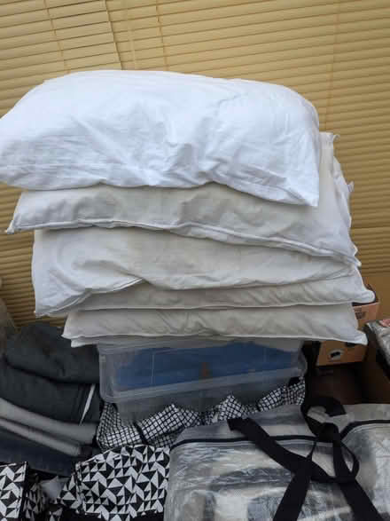 Photo of free Duvets (B17) #2