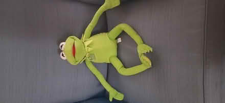 Photo of free Kermit the Frog (Longwood) #1