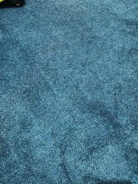 Photo of free Blue carpet and underlay. (Girlington BD8) #1