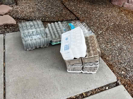 Photo of free Several empty egg cartons (NW Cortaro/Thornydale) #1