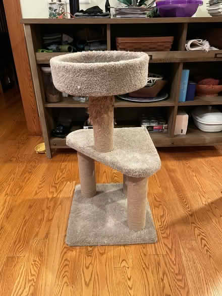 Photo of free Cat Tower (Near 11 and Woodward) #1