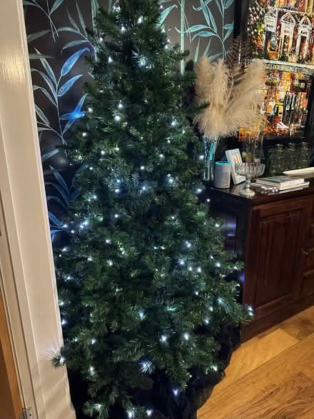 Photo of free Pre lit Christmas Tree (Barnsley S75) #1