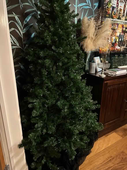 Photo of free Pre lit Christmas Tree (Barnsley S75) #2