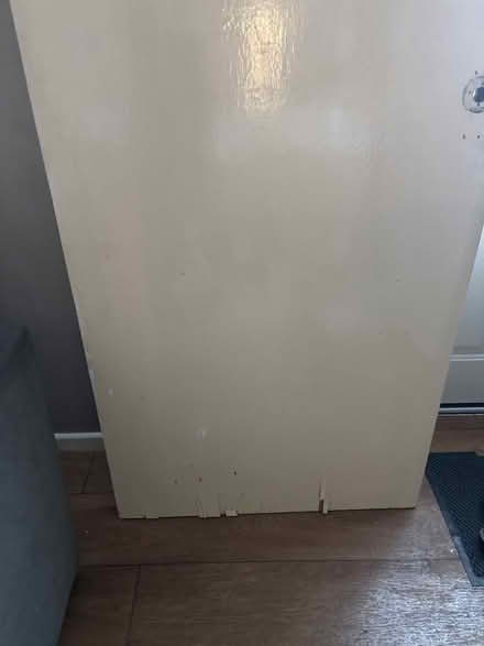 Photo of free One Internal door (New Costessey NR5) #2