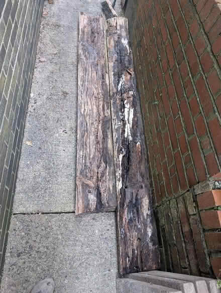 Photo of free Railway Sleepers (Llandrindod LD1) #3