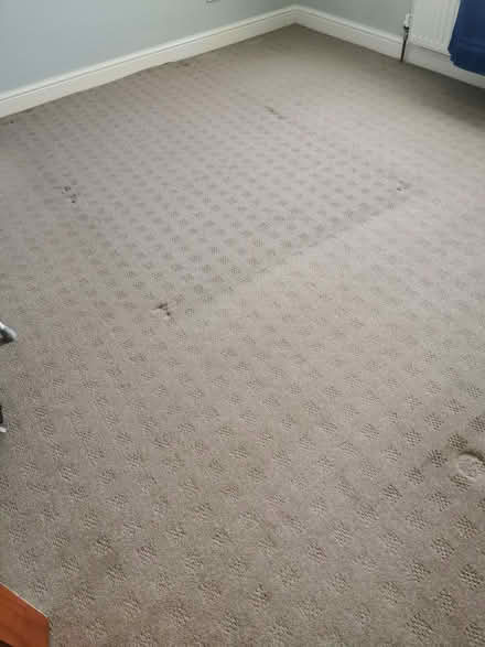 Photo of free Carpet 132 by 138 inches approx (Brandwood End B14) #2