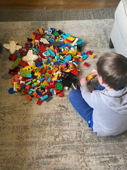 Photo of free Duplo Lego Sets (kid not included) (North Asheville) #1