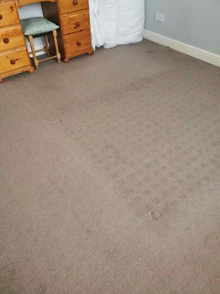 Photo of free Carpet 132 by 138 inches approx (Brandwood End B14) #3