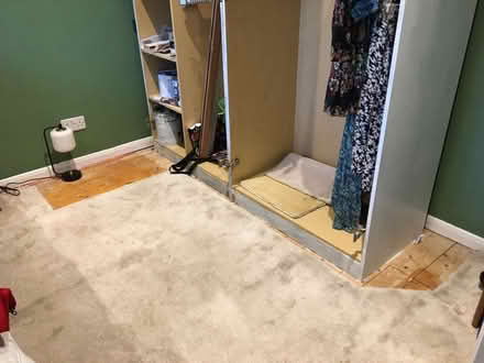 Photo of free Cream bedroom carpet (Marlow Bottom SL7) #2