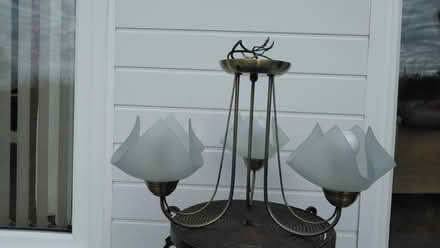 Photo of free Ceiling light (Lower Nazeing EN9) #1