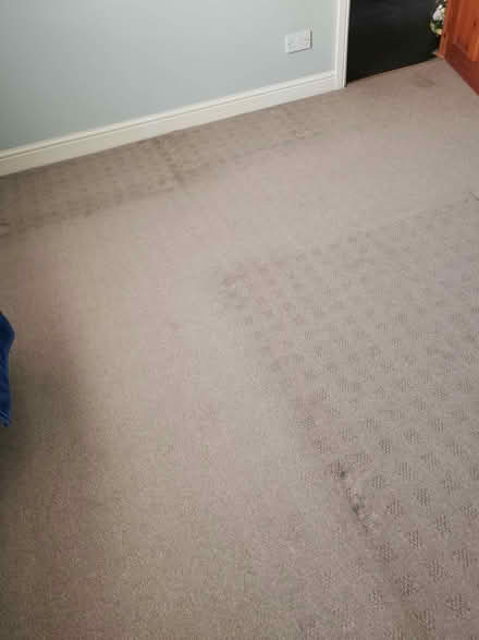 Photo of free Carpet 132 by 138 inches approx (Brandwood End B14) #1