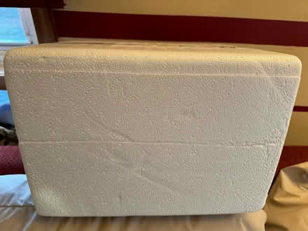 Photo of free (4) shipping Styrofoam coolers (Montgomery) #1