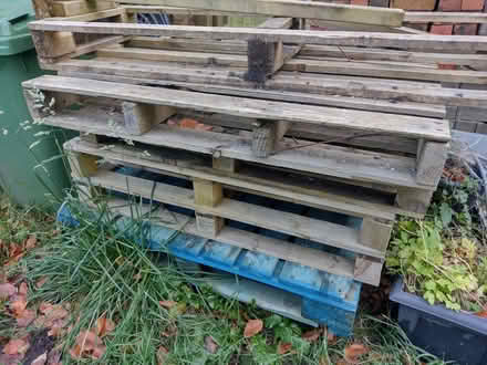 Photo of free 6 Pallets (Liverpool L16) #1