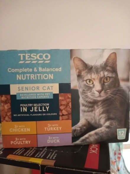 Photo of free Senior cat food (Upperthorpe S6) #1