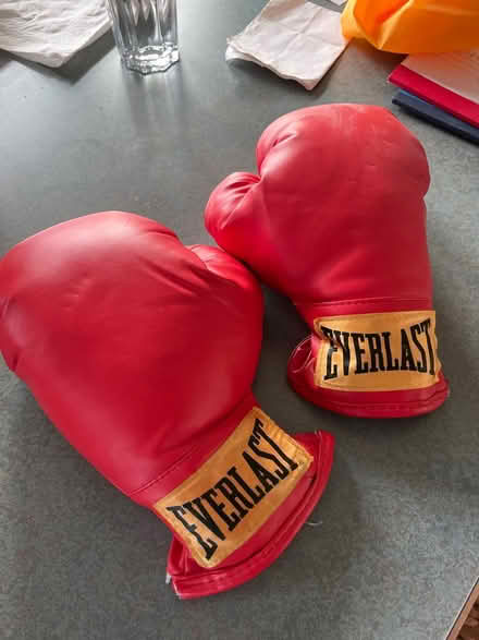 Photo of free Kids boxing gloves (Ballard) #2