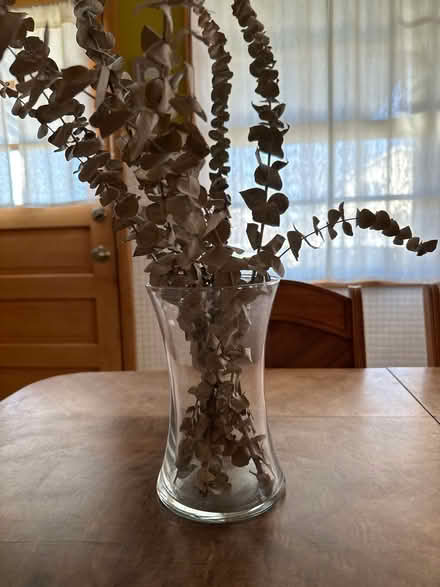 Photo of free Vase (Norwood Park) #1