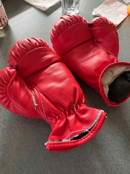 Photo of free Kids boxing gloves (Ballard) #1