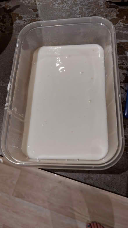 Photo of free Kefir grains (Broadsands TQ4) #2