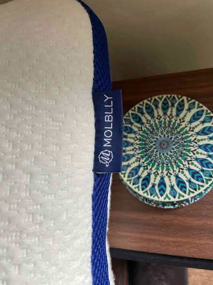 Photo of free foam pillow (D03) #3