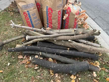 Photo of free Fire wood and branches (Glen Erin dr. Miss.) #2