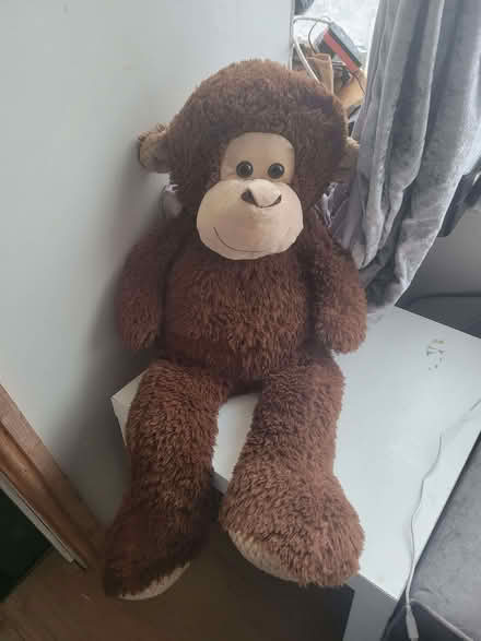 Photo of free Brown Soft toy Monkey (Small Heath B10) #1