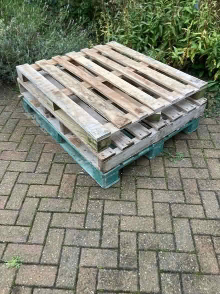 Photo of free 3 x pallets / firewood (Wickford SS12) #1