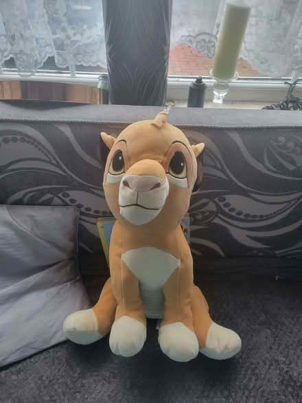 Photo of free Simba Soft toy (Small Heath B10) #1