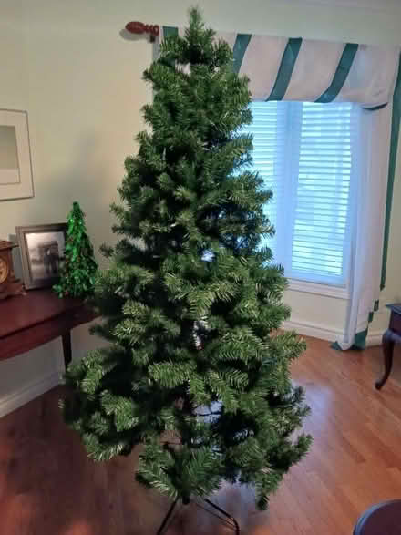 Photo of free 6.5 foot Christmas tree (hunt club park) #1