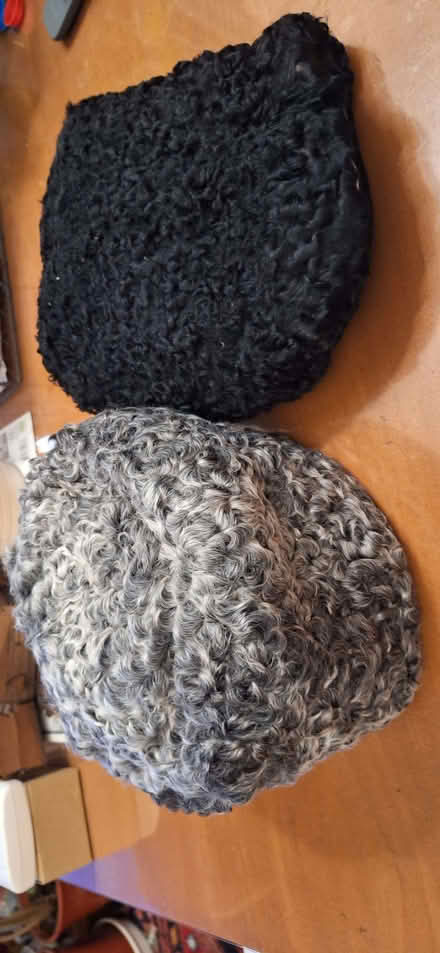 Photo of free Astrakhan hat and muff (Stotfold SG5) #1