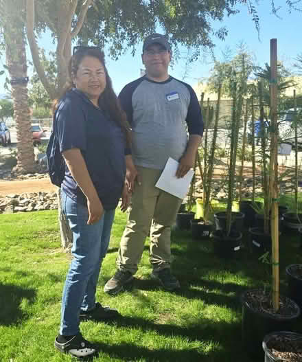 Photo of free Trees (Mar. 18 pickup) Fontana (Lewis Library, Fontana, CA) #2