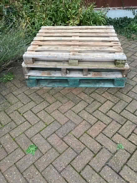 Photo of free 3 x pallets / firewood (Wickford SS12) #2