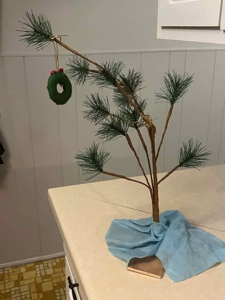 Photo of free Charlie Brown Tree (Lombard) #1