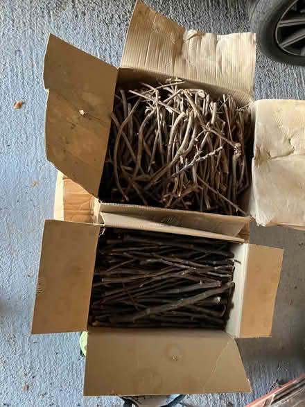 Photo of free Kindling (BA13 3EX) #1