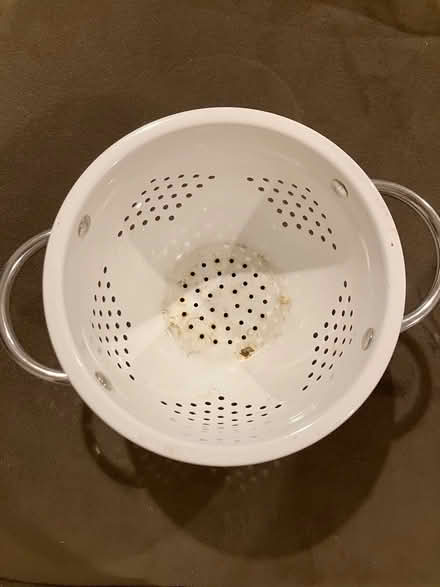 Photo of free Small colander (Bellevue) #2