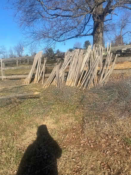 Photo of free Wooden stakes (Woodbine) #1