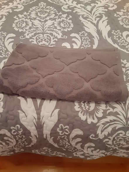 Photo of free bath mat (Woodridge-near 75th and Janes) #1