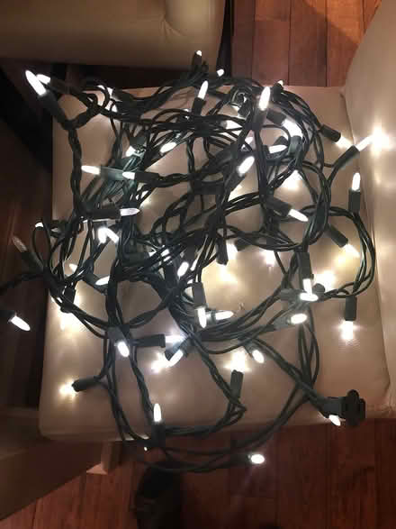 Photo of free Outdoor Mini Lights (Ponytrail & Rathburn) #1