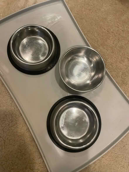 Photo of free Pet food/water bowls (Barcroft, Arlington) #1