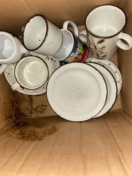 Photo of free Plates and cups (B29) #3