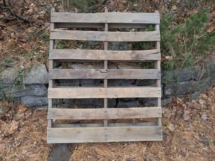 Photo of free Pallet (Glebe / Dow's Lake) #1