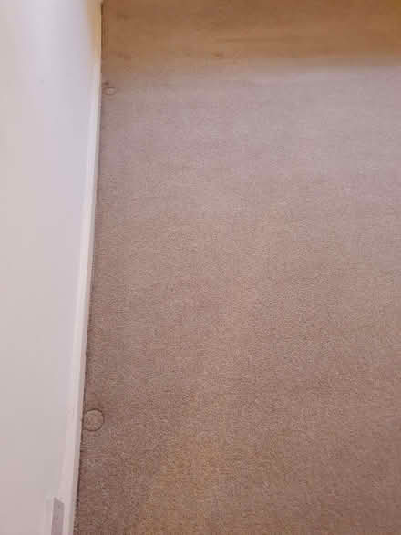 Photo of free Bedroom carpet (Mountain Ash CF45) #2