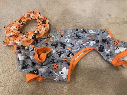 Photo of free Pet Halloween outfit (Barcroft, Arlington) #1