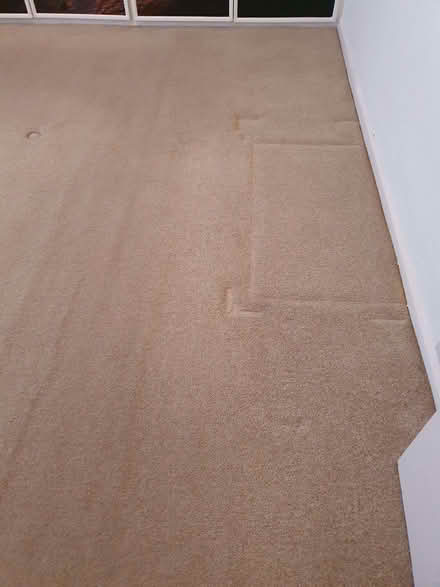 Photo of free Bedroom carpet (Mountain Ash CF45) #3