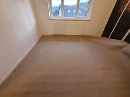 Photo of free Bedroom carpet (Mountain Ash CF45) #1